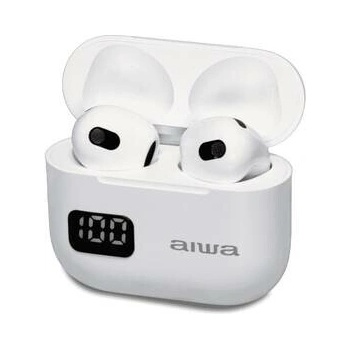 AIWA EBTW-100WT