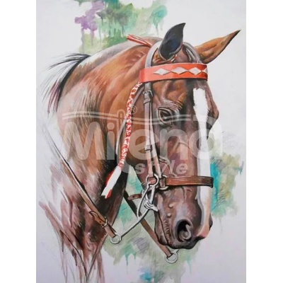 Milena Style Бруно - диамантен гоблен