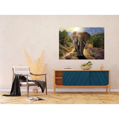 AG Design FTNM-2671 Vliesová fototapeta Slon rozměry 160 x 110 cm