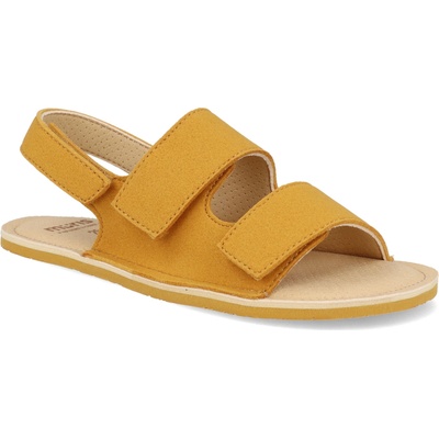 Muris Rio mustard