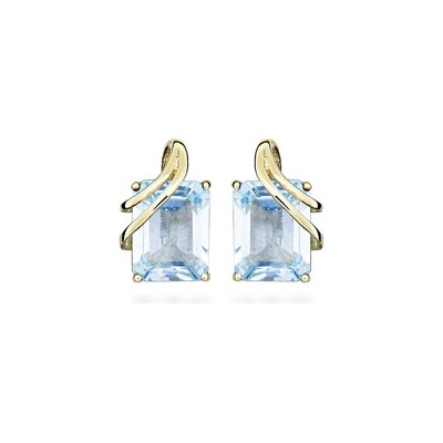 JVD náušnice SVLE0746SH8GM00