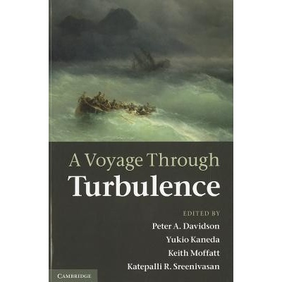 A Voyage Through Turbulence - Peter A. Davidson