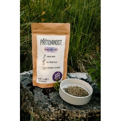 Ecopets Přítomnost bylinná směs na zánět 100 g