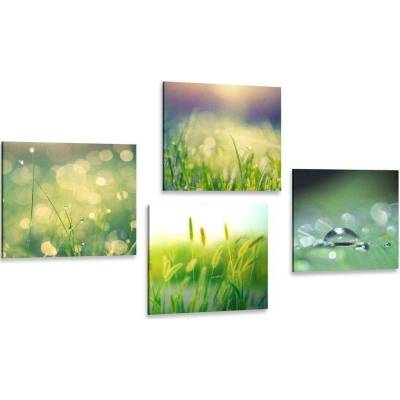 Set obrazů ranní rosa na louce - 4x 60x60