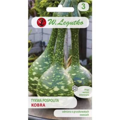 W. Legutko Обикновена тиква Кобра