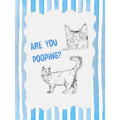 Plagát, Obraz - Are You Pooping Cat, Jolly and Dash, 30 × 40 cm