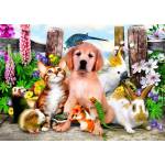 Bluebird Puzzle - Puzzle Good Companions II 500 - 500 piese