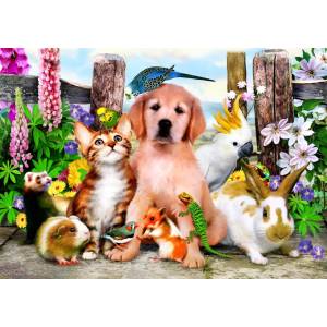 Bluebird Puzzle - Puzzle Good Companions II 500 - 500 piese