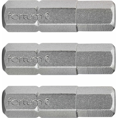 Fortum H6x25 mm 3 ks 4741508