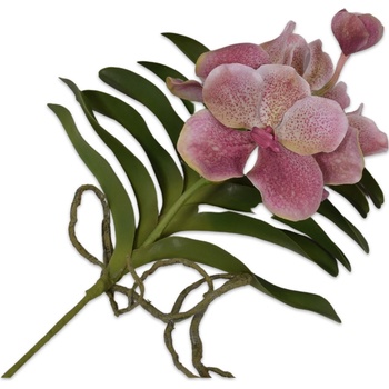 Orchidej (phalaenopsis) s listem Vanda rúžová V42 cm