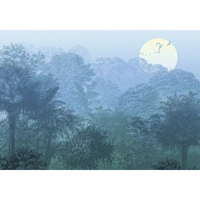 INX8-052 Fototapeta vliesová Deep in the Jungle rozměry 400x280 cm