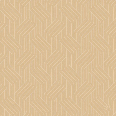 DUNI Servítka bio dsf woven natural 40x40cm