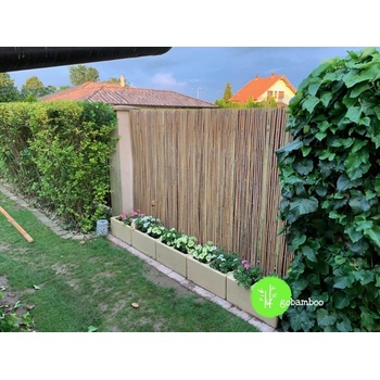Štiepaný bambus, Veľkosť: š 300 cm x v 180 cm (bambusový plot)