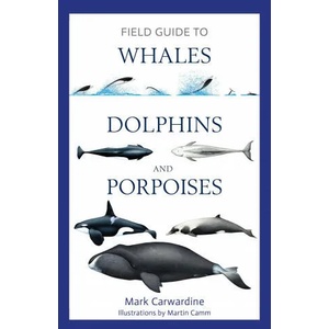 Field Guide to Whales, Dolphins and Porpoises (ISBN: 9781472969972)