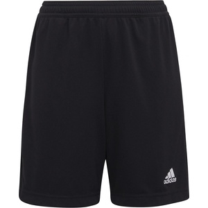 adidas Ent22 tr shoy 140