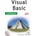 Visual Basic V Příkladech* Holan Tomáš