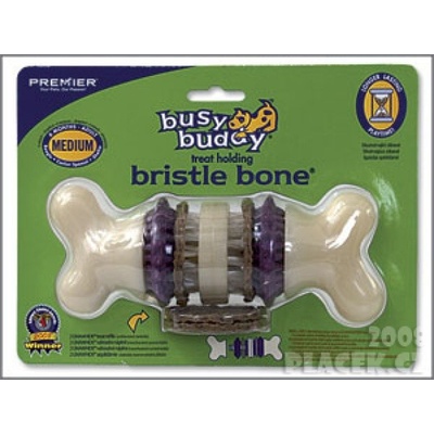 Premier Busy Buddy Bristle Bone M