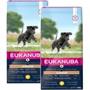 Eukanuba Developing Junior Large Breed 2 x 15 kg