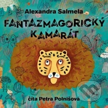 Fantazmagorický kamarát - Alexandra Salmela