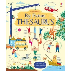 Big Picture Thesaurus (ISBN: 9781409598749)