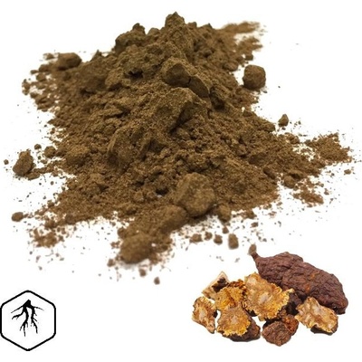 LifeChi He Shou Wu (Polygonum multiflorum) extrakt v prášku 25 g