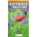 Kvitnúce rastliny