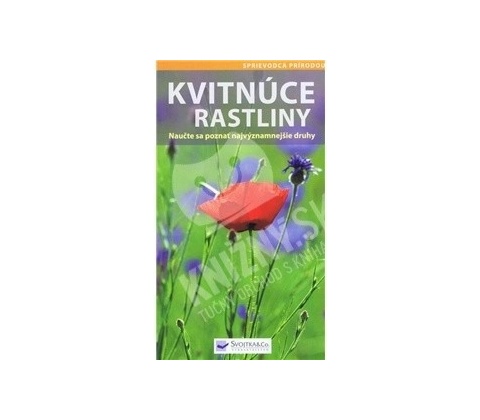 Kvitnúce rastliny