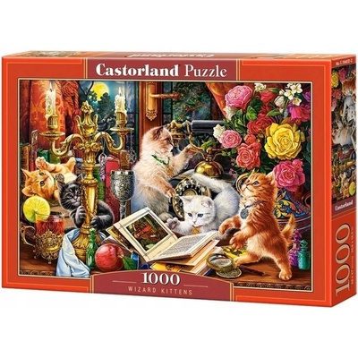 CASTORLAND KOUZELNÁ KOŤÁTKA 1000 dílků