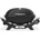 Weber Q 2100N
