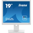 Monitory iiyama B1980D