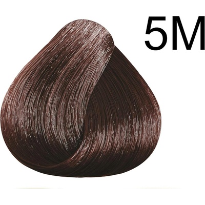 Color & Soin barva na vlasy 5M světle mahagonová hnědá 135 ml