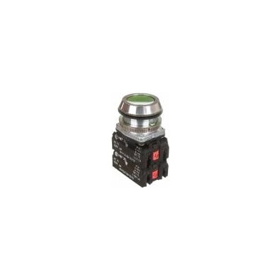 Promet Control button 30mm green 2Z 2R with self-return W0-NEF30-K 2X2Y Z