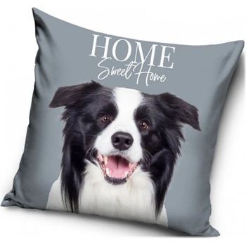 Carbotex Šteňa Border kólie 40 x 40 cm