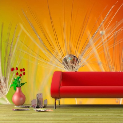 Sablio Tapeta Odkvitnuté púpavy 2, rozmery 336x220 cm