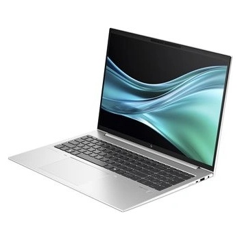 HP EliteBook 865 G11 9G149ET