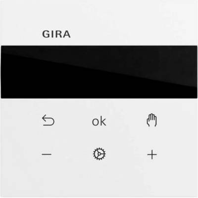 GIRA 539370