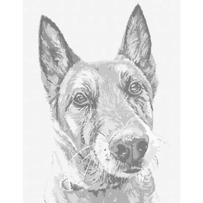 ZUTY Bodkovanie - STARÝ VLČIAK Rámovanie: bez rámu a bez vypnutia plátna, Rozmer: 40x50 cm