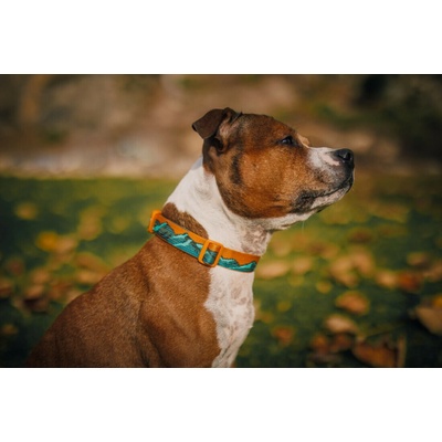 Non-stop obojek Trail quest collar Rachel Pohl