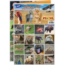 Karetní hry Pexeso Zvířátka ze ZOO 5300896