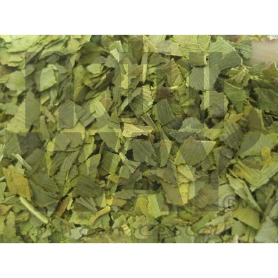 Bylinná lékárna Jinan list Gingko bilobae 200 g