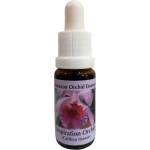 PHI Essences Стимулира творчеството - Есенция Орхидея Вдъхновение № 14, капки 15 ml (14 AMAZON)