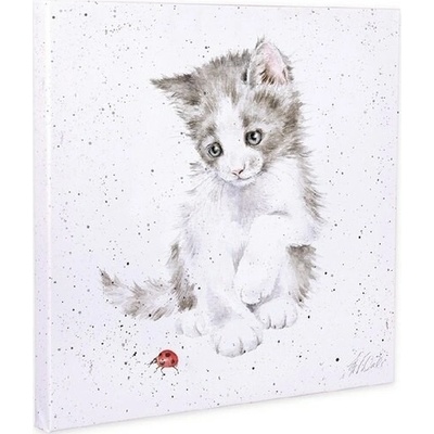Obraz Wrendale Designs "Ladybird", 20x20 cm - Kotě