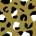 Softshell leopard olivový by MIMI