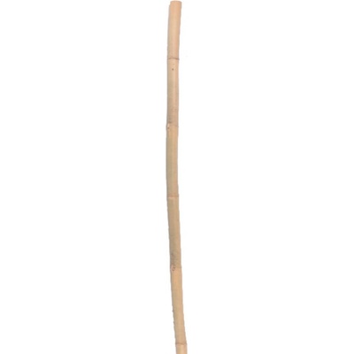 Opora rastlín 3 kusy 37 x 90 cm zelená | jaks