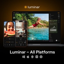 Skylum Luminar pro všechny platformy, Trvalá licence