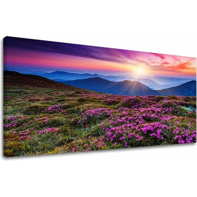 Obraz na stenu PANORÁMA KRAJINA - 40x80 cm