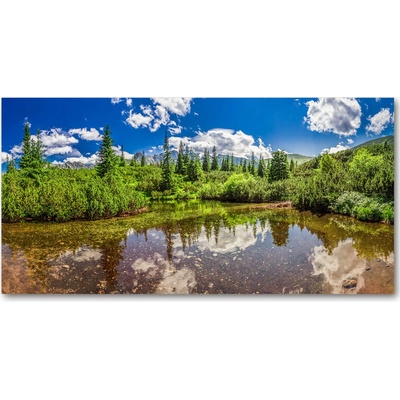 Foto obraz sklo tvrzené Jezerov lese 100x50 cm
