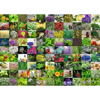 Ravensburger - Puzzle 99 Herbs and Spices - 1 000 piese