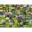 Ravensburger - Puzzle 99 Herbs and Spices - 1 000 piese
