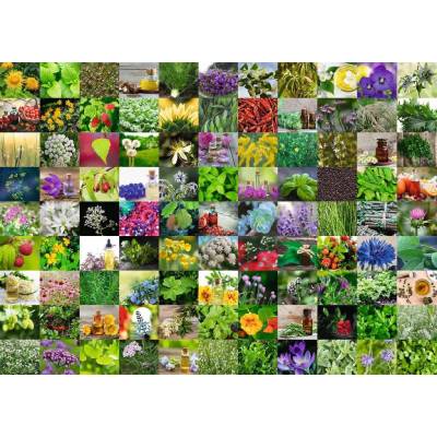 Ravensburger - Puzzle 99 Herbs and Spices - 1 000 piese